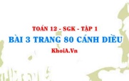 Bài 3 trang 80 Toán 12 tập 1 Cánh Diều